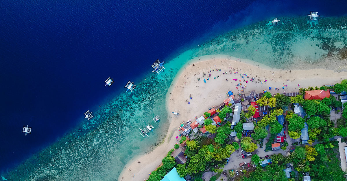Aerial view of beach with lush green tree and blue water
