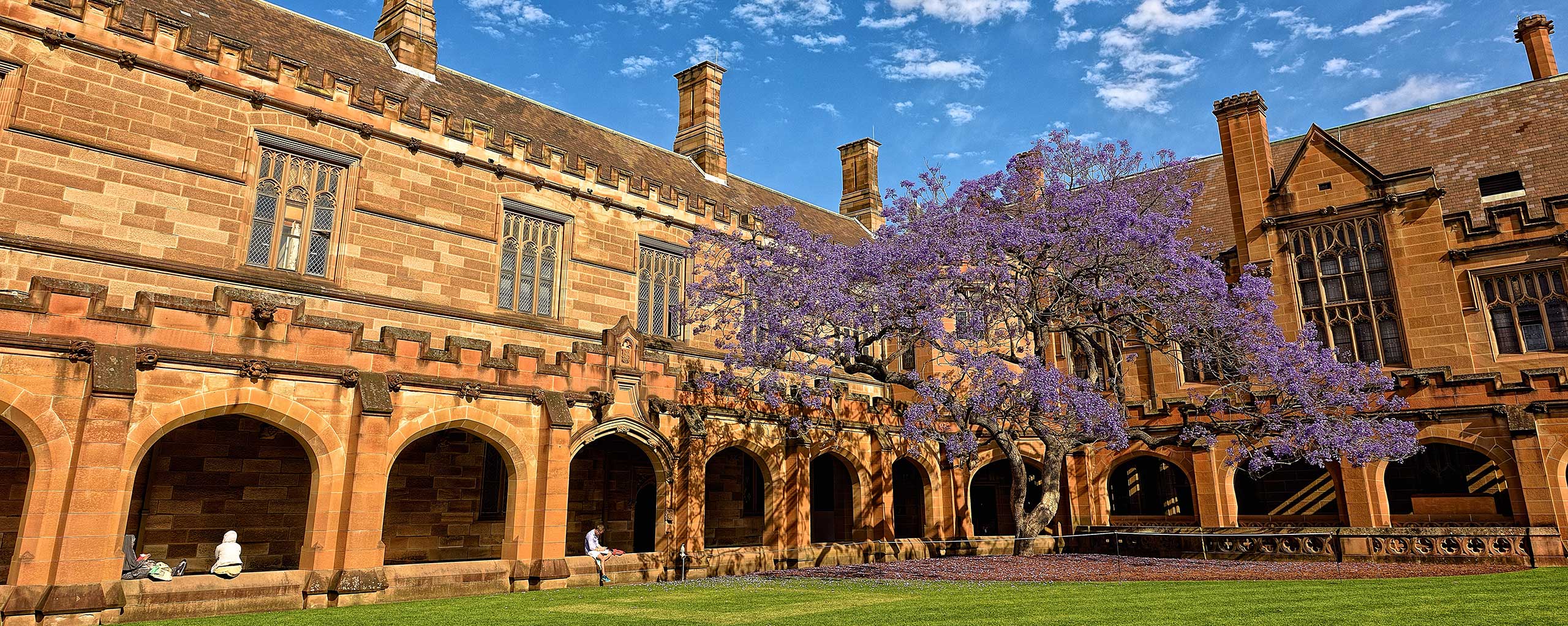 University of Sydney Quadrangle building with purple tree in courtyard