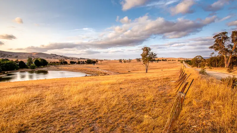 Rural landscape scene