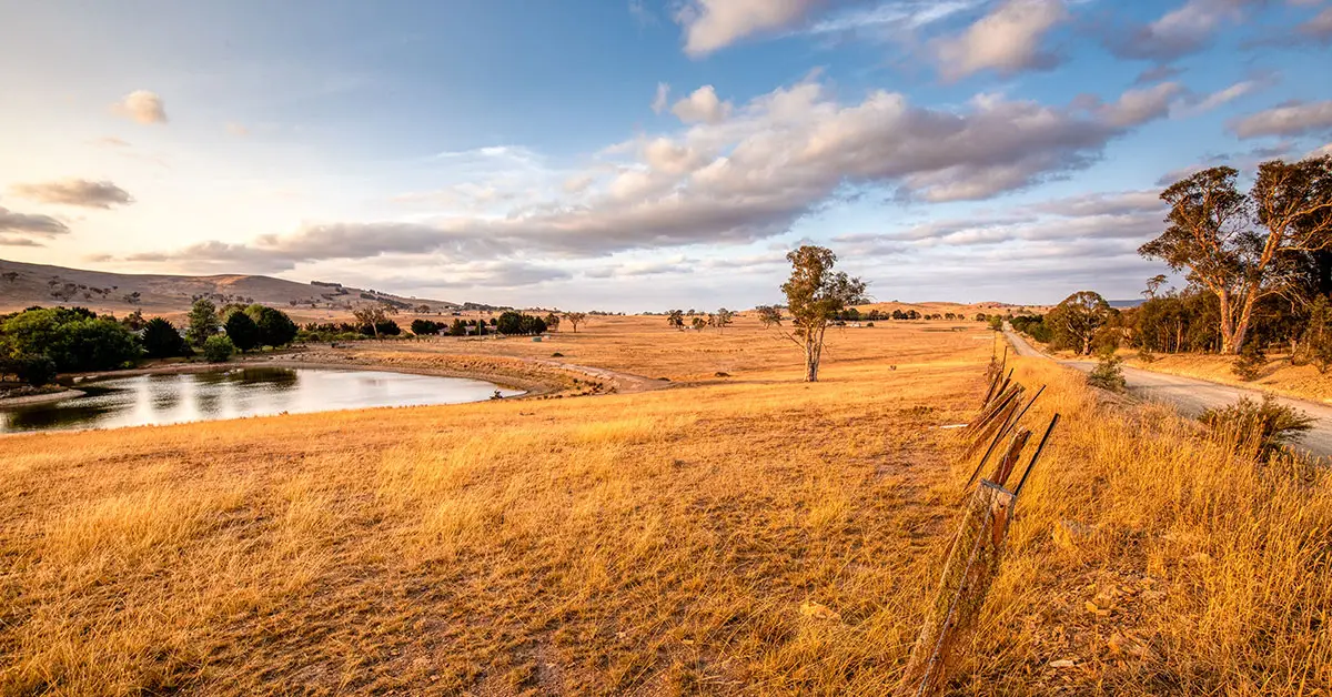 Rural landscape scene